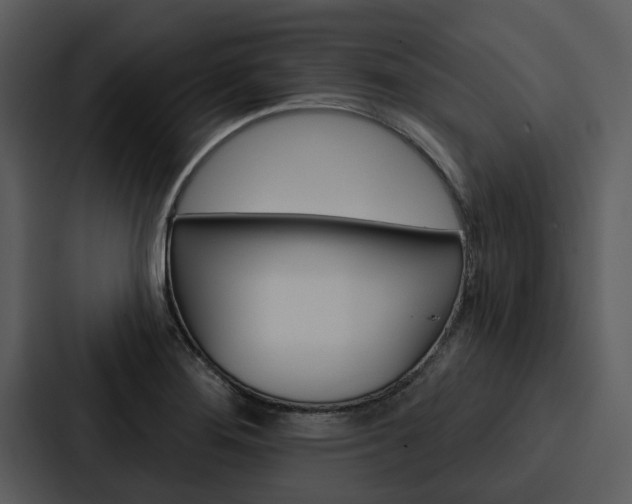 X0000088141276200705141024
