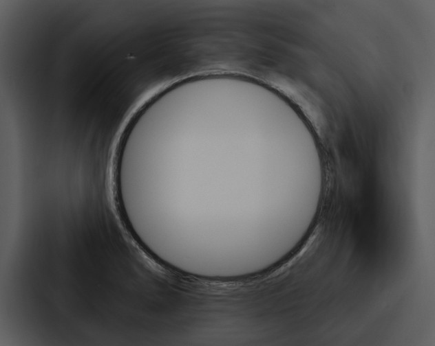 X0000088141278200705141024