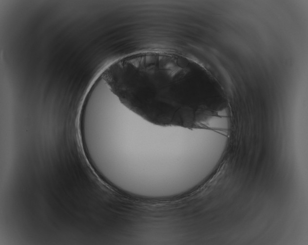 X0000088141283200705141024
