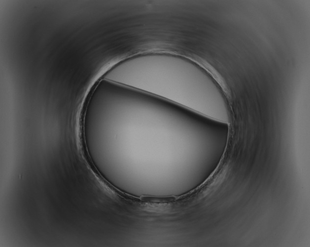 X0000088141285200705141024