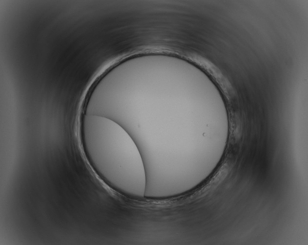X0000088141286200705141024