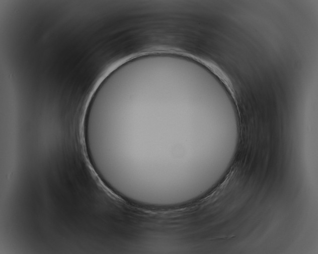 X0000088141287200705141024