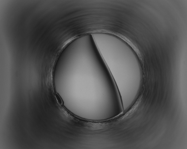X0000088141289200705141024