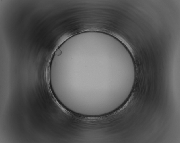 X0000088141290200705141024
