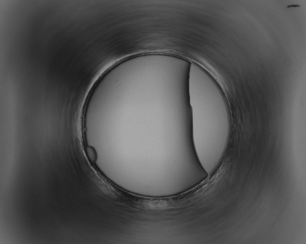 X0000088141291200705141024