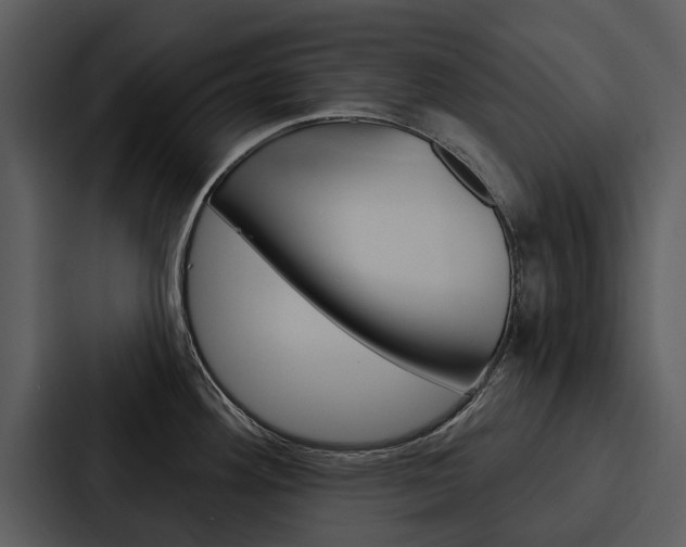 X0000088141292200705141024