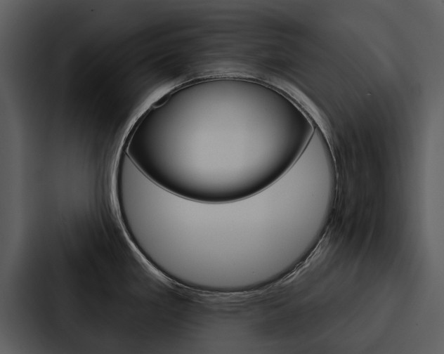 X0000088141293200705141024