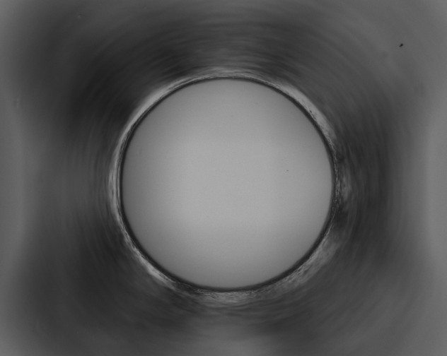 X0000088141294200705141024