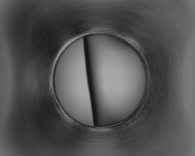 X0000088141296200705141024