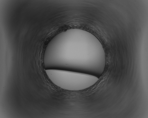 X0000088141297200705141023