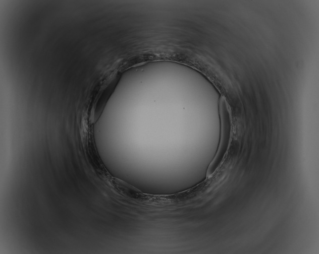 X0000088141298200705141023