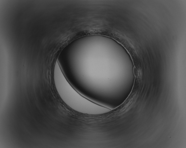 X0000088141300200705141023