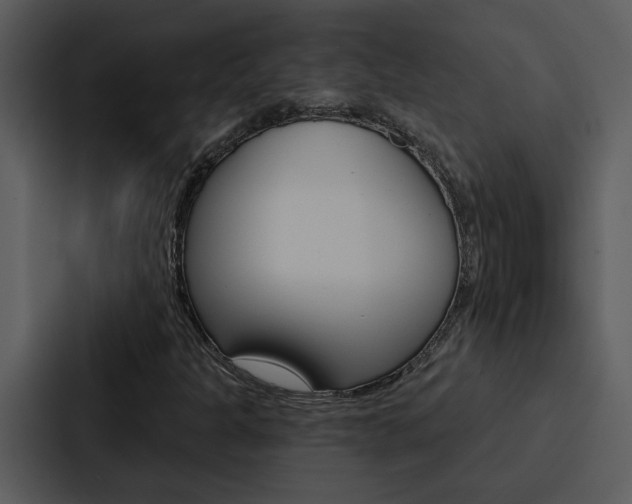 X0000088141301200705141023