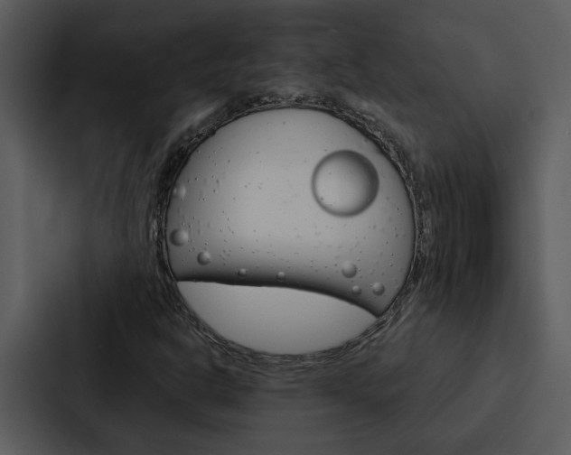 X0000088141302200705141023