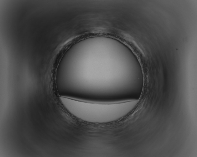X0000088141304200705141023