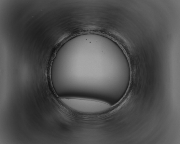 X0000088141305200705141023