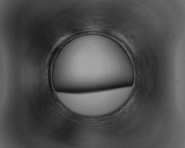 X0000088141307200705141024