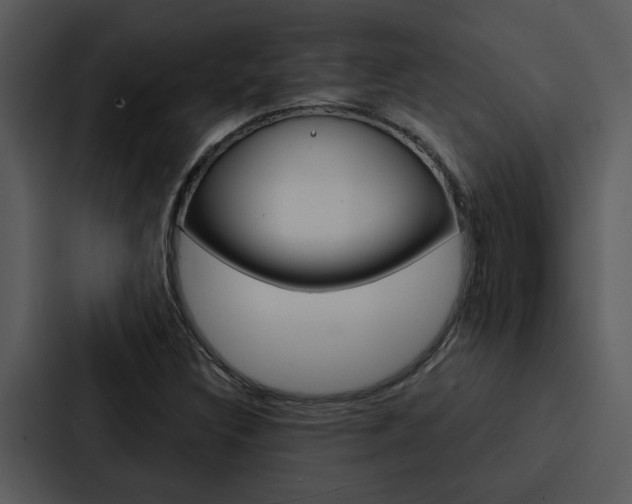 X0000088141308200705141024