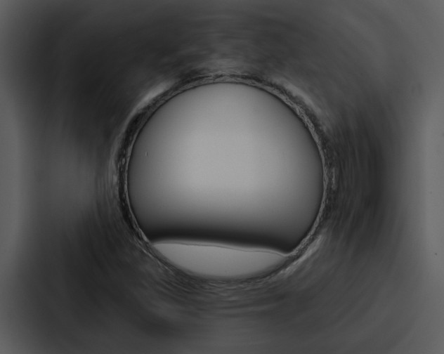 X0000088141309200705141024