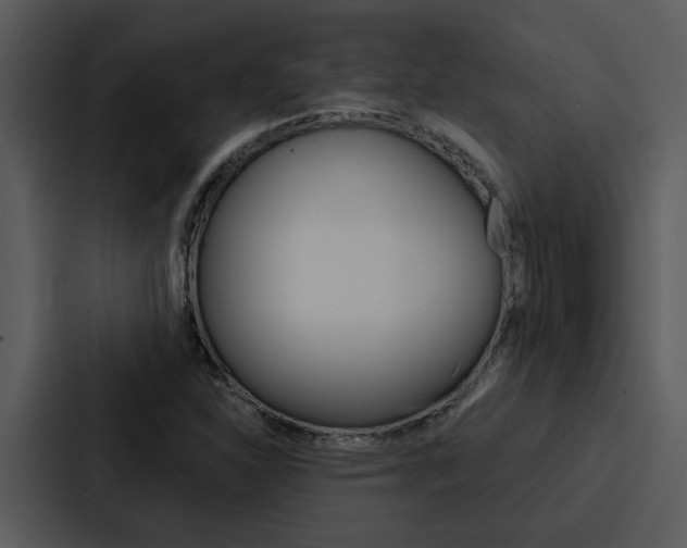 X0000088141310200705141024