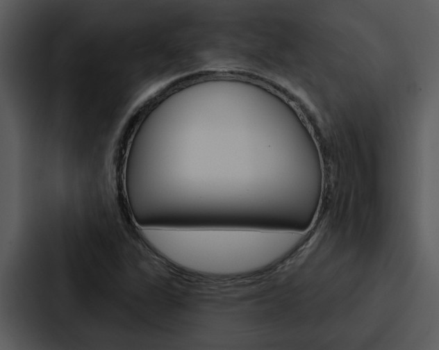 X0000088141311200705141024
