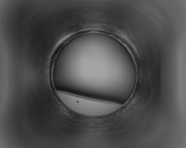 X0000088141312200705141024