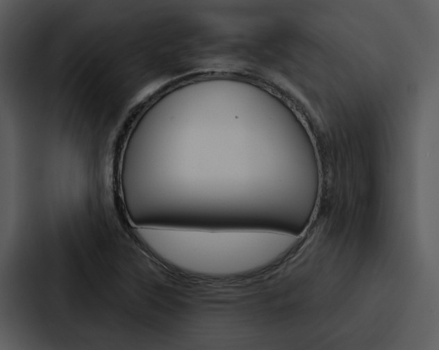 X0000088141315200705141024