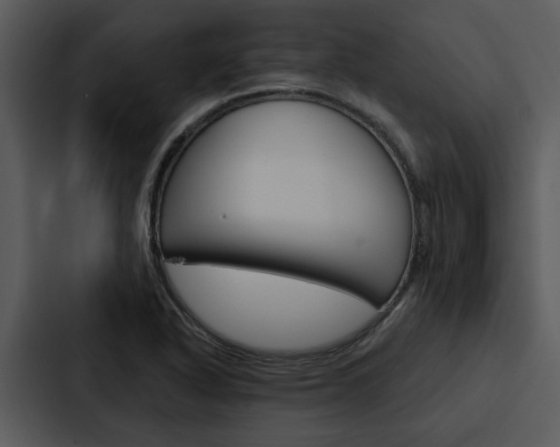 X0000088141318200705141024