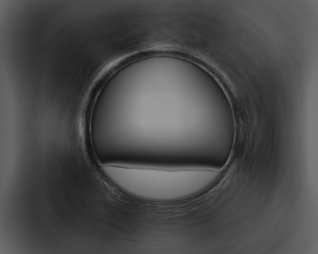 X0000088141319200705141024