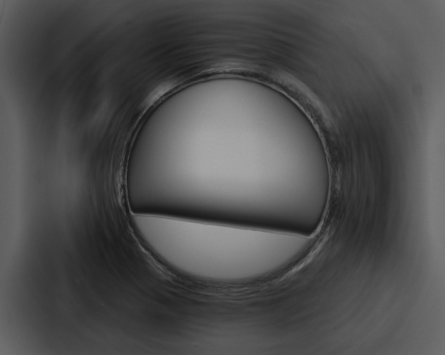 X0000088141321200705141024