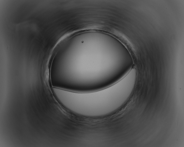 X0000088141324200705141024