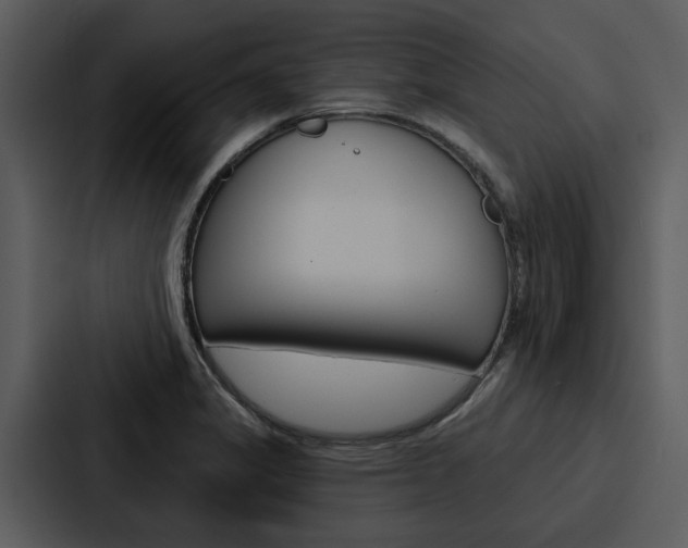 X0000088141325200705141024