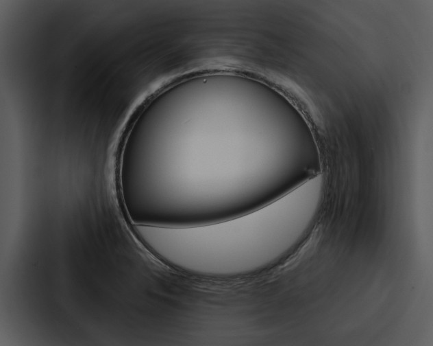 X0000088141326200705141024