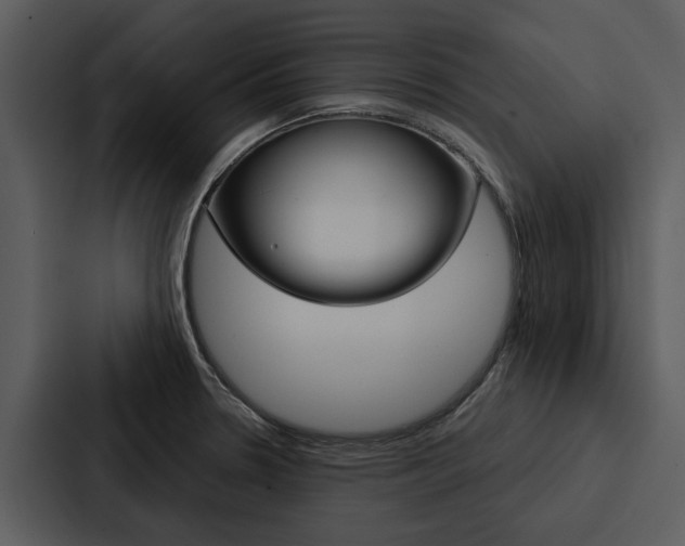 X0000088141330200705141024