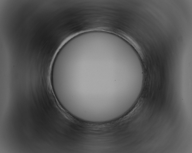 X0000088141332200705141024