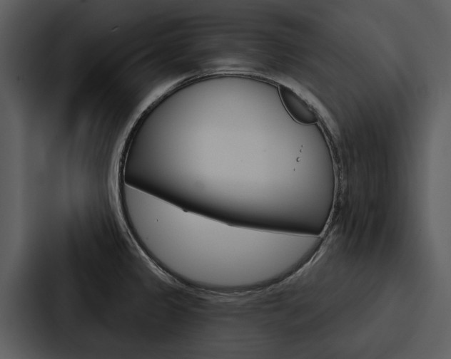 X0000088141333200705141024