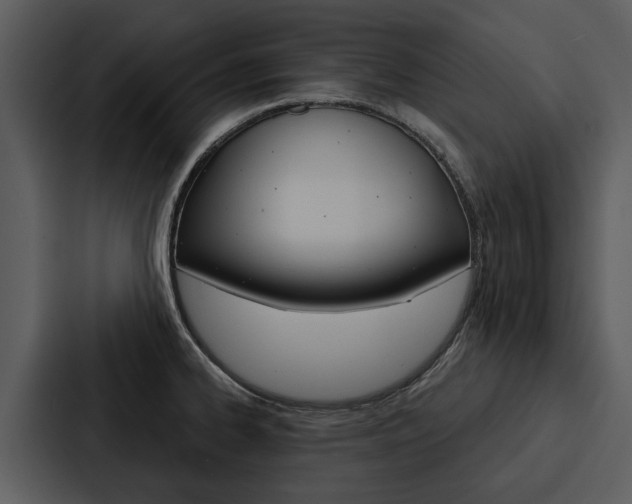 X0000088141334200705141024