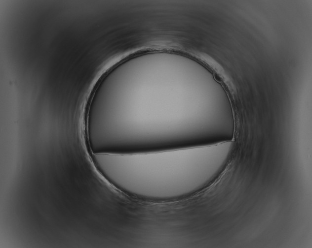 X0000088141335200705141024