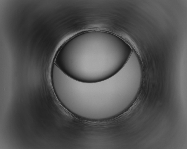 X0000088141336200705141024