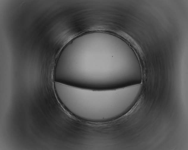 X0000088141337200705141024