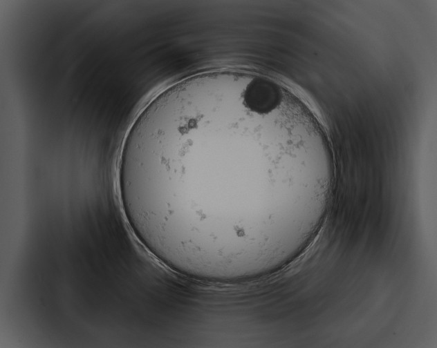 X0000088141338200705141024