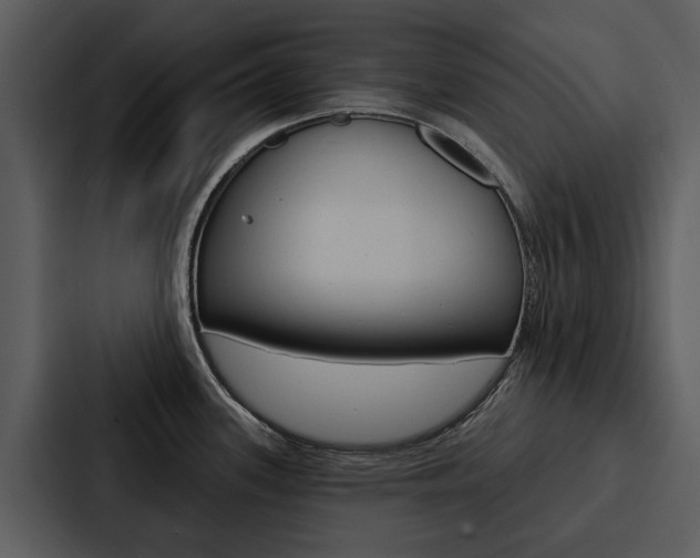 X0000088141339200705141024