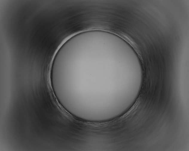 X0000088141340200705141024