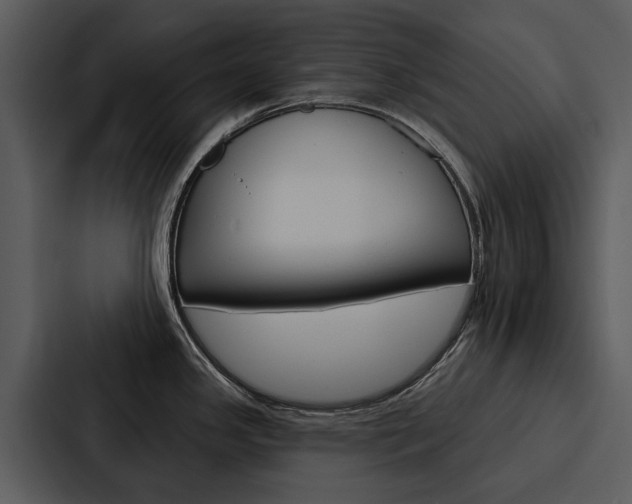 X0000088141341200705141024