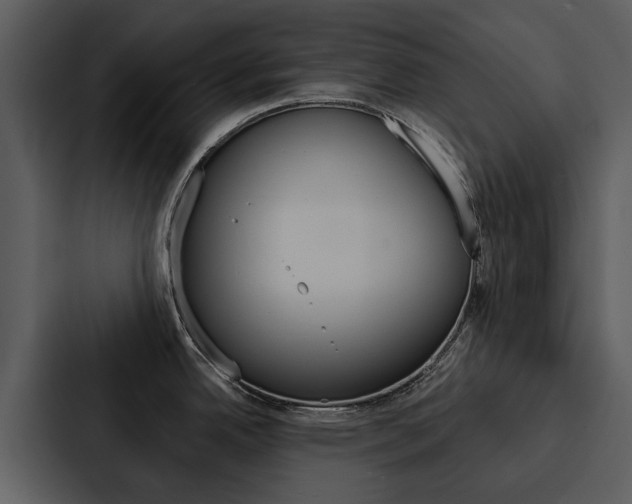 X0000088141342200705141024