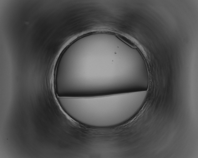 X0000088141343200705141024