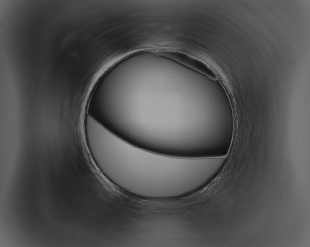X0000088141344200705141024