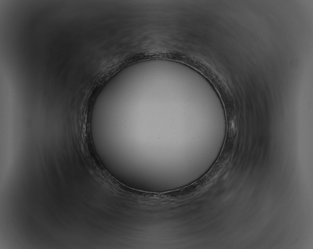 X0000088141348200705141023
