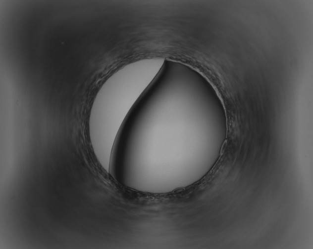 X0000088141349200705141023