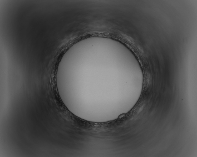 X0000088141350200705141023